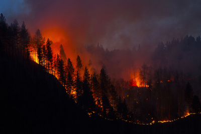 Promenons-nous dans les bois, pendant que le feu n'y est pas ! sur Qu'est-ce qu'on fait