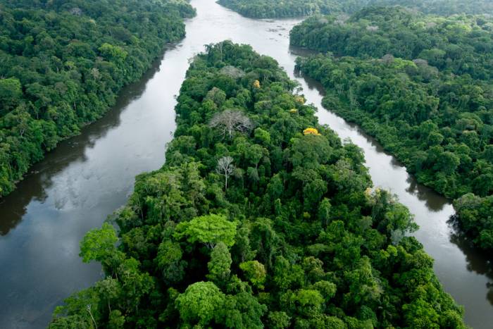 "Montagne d'or est une prise d'otage écologique et sociale" sur Qu'est-ce qu'on fait