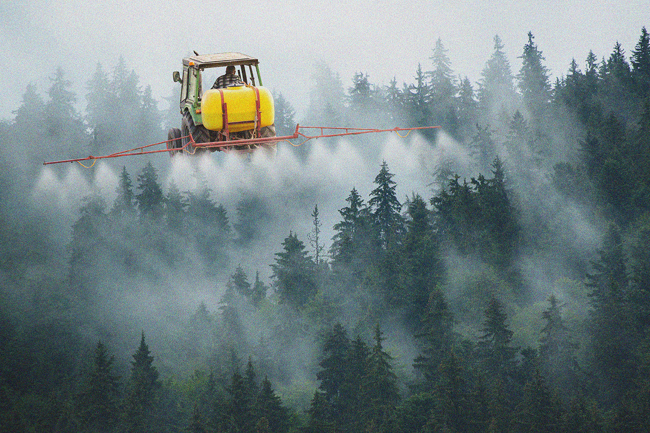 L'agriculture du futur cohabitera-t-elle avec les arbres ? sur Qu'est-ce qu'on fait