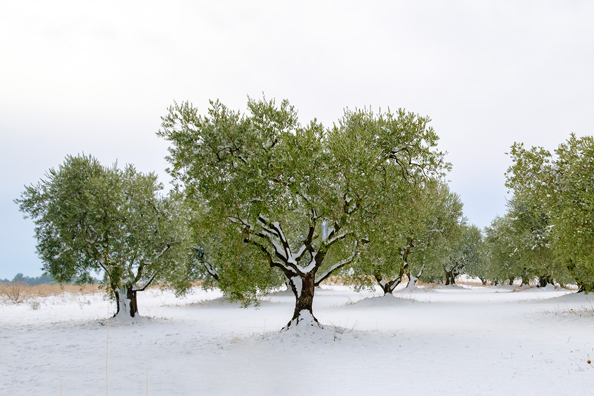 3 idées reçues sur les forêts françaises à abattre sur Qu'est-ce qu'on fait